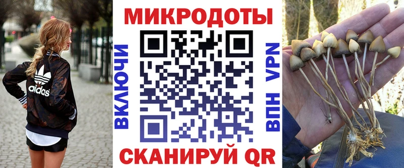 купить сайты Клин ОМГ ОМГ онион Псилоцибиновые грибы Cubensis