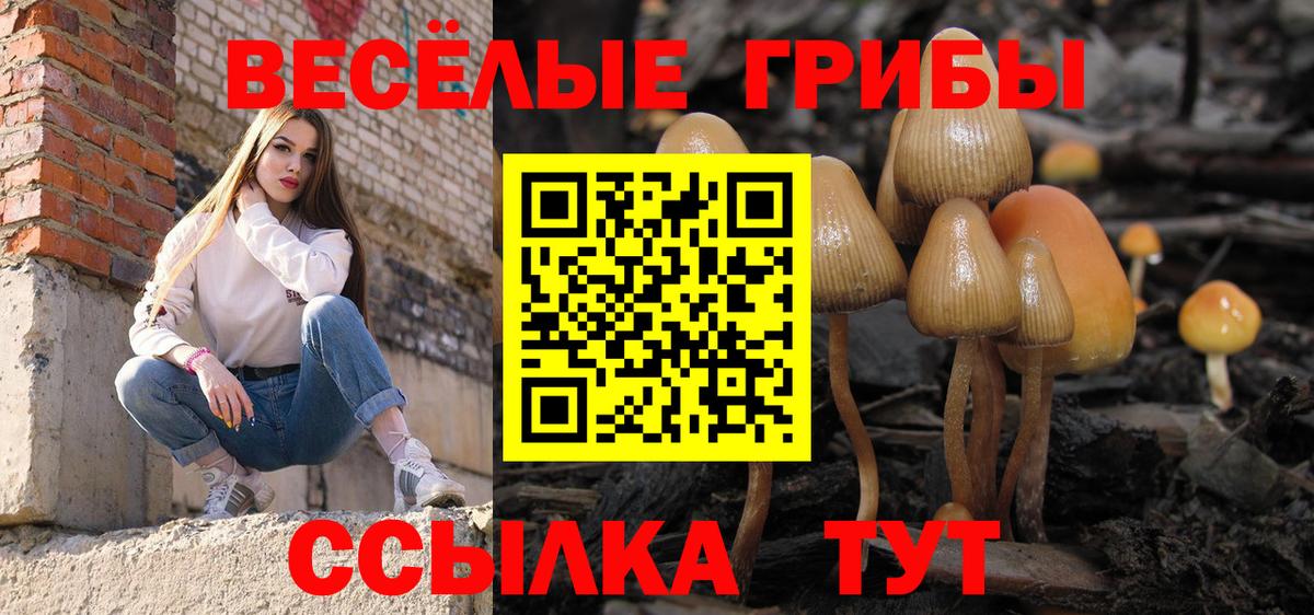 Псилоцибиновые грибы Cubensis Клин